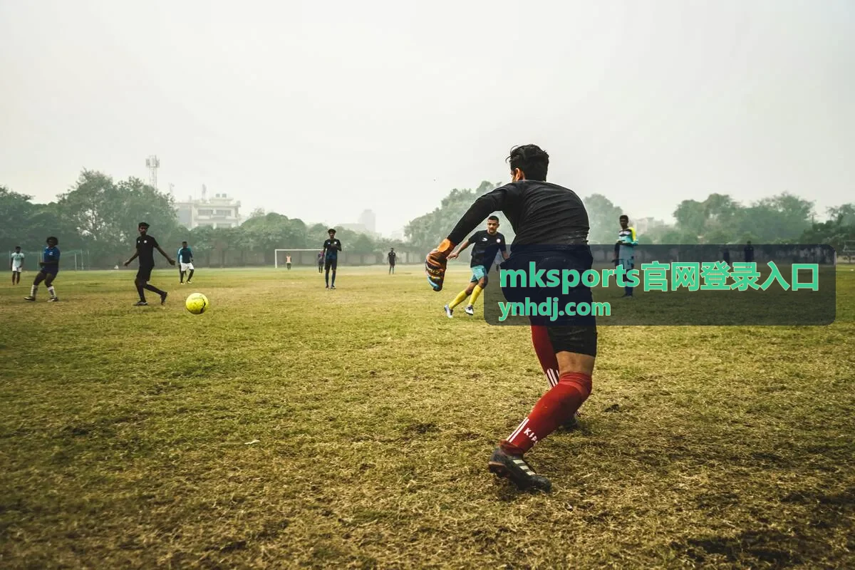 mksports官网登录入口首页示意图